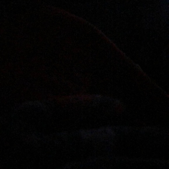 Meet your Posher, Robbie - Picture 1 of 1